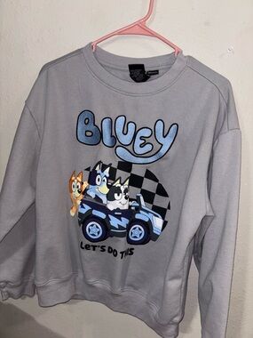Bluey Men's Graphic Sweatshirt~Let's Do This~Long Sleeves~Size S